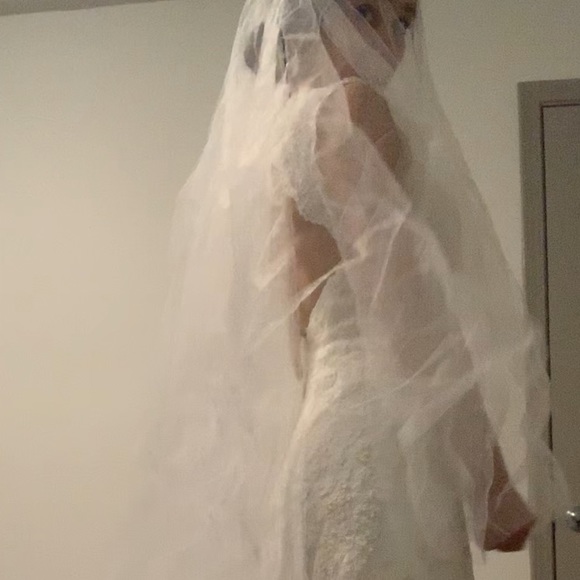Long Lace Cathedral VERA WANG VEIL for SALE main image 6